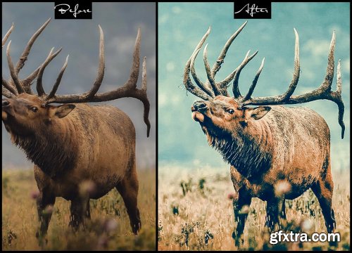 Animals Cinematic - Photoshop Actions & Presets