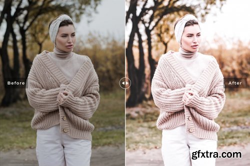 CreativeMarket - Buff Pro Lightroom Presets V2 6896129