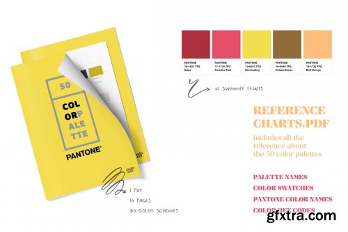 CreativeMarket - 50 Pantone Branding Color Palettes 6119891
