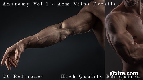 Cubebrush - Hector - Anatomy Vol 1 - Arm Veins Details