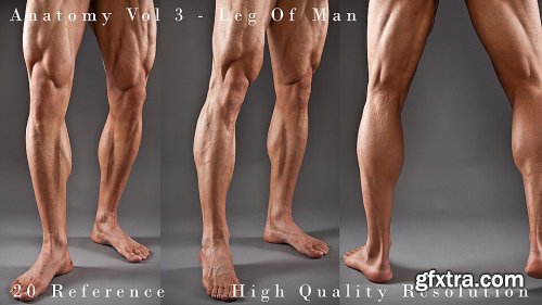 Cubebrush - Hector - Anatomy Vol 3 - Leg Of Man Details