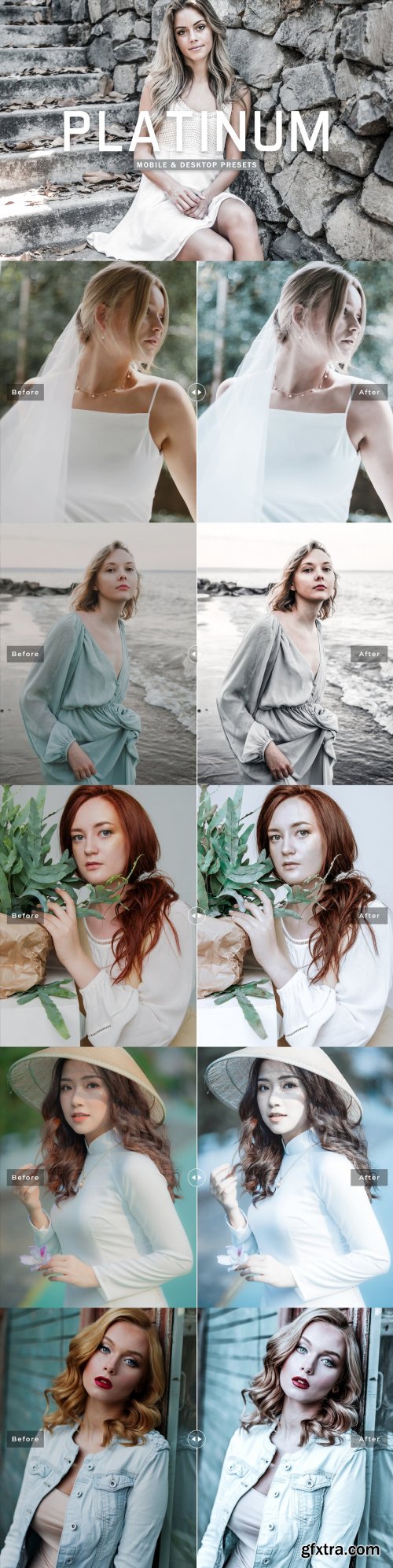 CreativeMarket - Platinum Pro Lightroom Presets 6915669