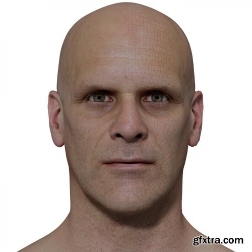 3D Scan Store - Retopologised Male Head 022