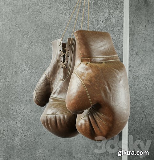 Champion (Boxing equipment)