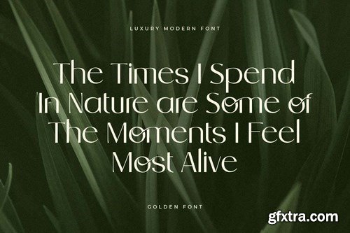 Golden - Luxury Modern Font