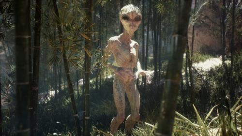 Videohive - Alien In The Middle Of The Forest - 34795163 - 34795163