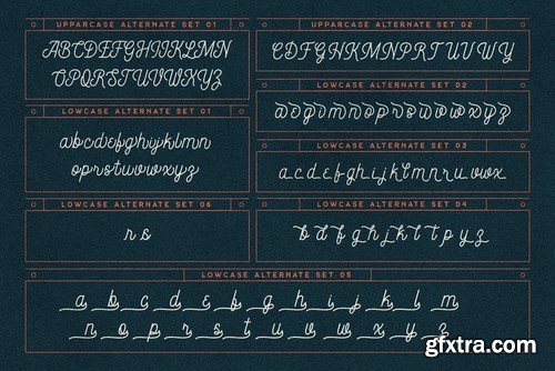 Constaline - Monoline Script & Sans