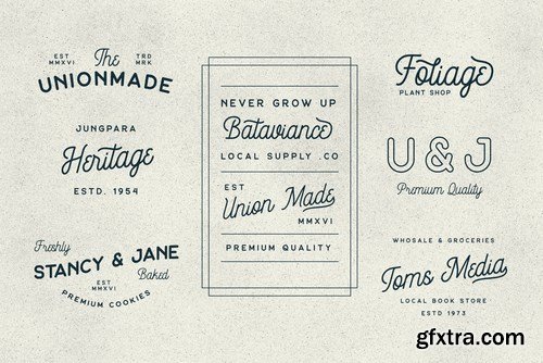 Constaline - Monoline Script & Sans