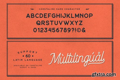 Constaline - Monoline Script & Sans