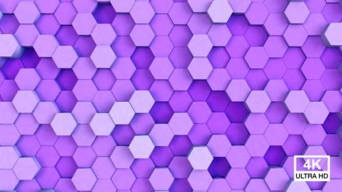 Videohive - Hexagonal Background Purple - 36042280 - 36042280