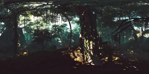 Videohive - VR360 Deep Tropical Jungles of Asia - 36044962 - 36044962