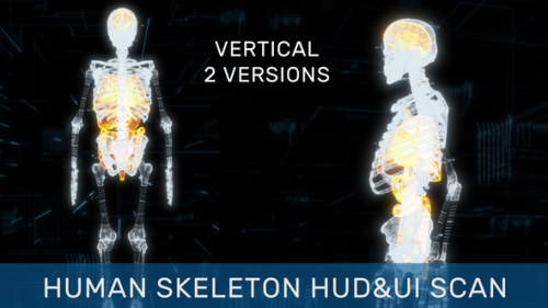 Videohive - Human Skeleton HUD UI Scan Pack - 35980585 - 35980585