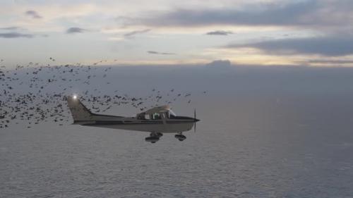 Videohive - Old Plane Plunging into a Flock of Birds - 35981349 - 35981349