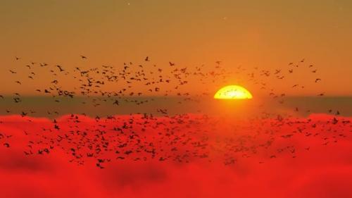 Videohive - Sunset View from Above the Clouds and Flock of Birds - 35981350 - 35981350