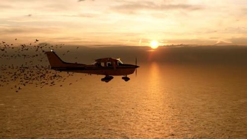 Videohive - Old Plane Plunging into a Flock of Birds at Sunset - 35981354 - 35981354