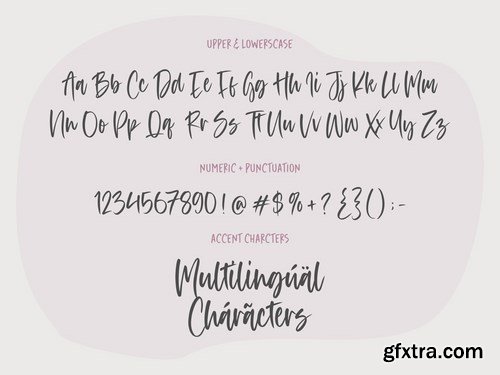 Acordian Script Font