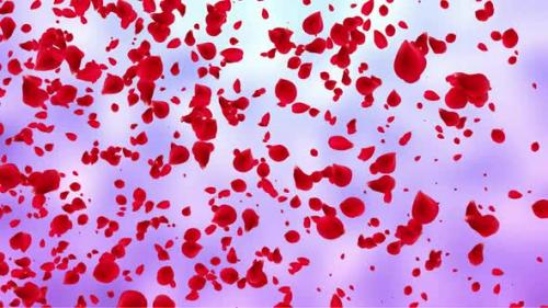 Videohive - Falling Hearts - 36006592 - 36006592