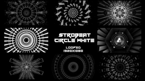 Videohive - Strobeat Circle White Background VJ Pack - 20031460 - 20031460