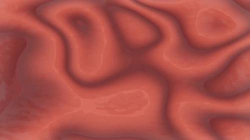 Videohive - Mimic texture loop of internal organs. Visually similar to intestinal tissue - 35972807 - 35972807