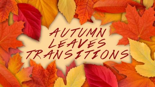 Videohive - Autumn Leaves Transitions Files - 34486825 - 34486825