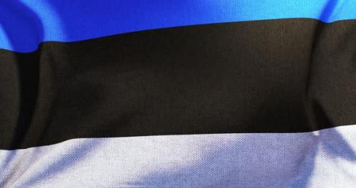 Videohive - Estonia - Flag - 4K - 36075572 - 36075572