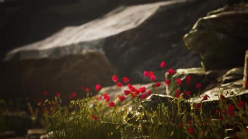 Videohive - Gravel Path with Rocks in Mountains - 36082895 - 36082895