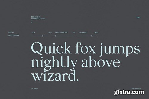 Felis Serif Font