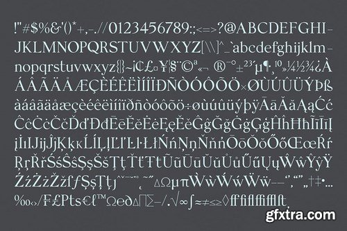 Felis Serif Font