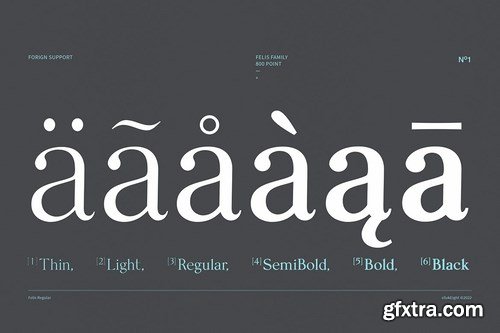 Felis Serif Font