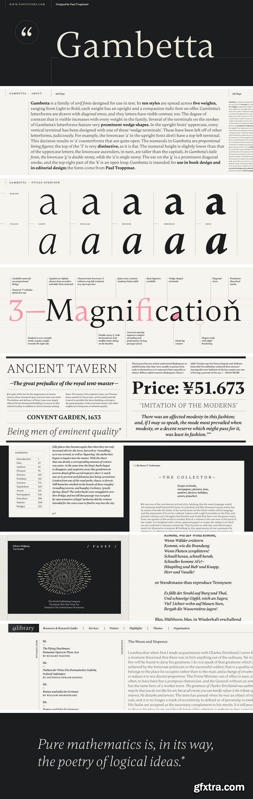 Gambetta Font Family - 10 Fonts