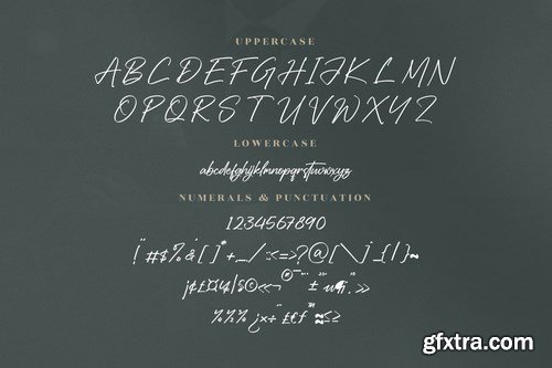 Gentry Benedict Handwritten Brush Script Font