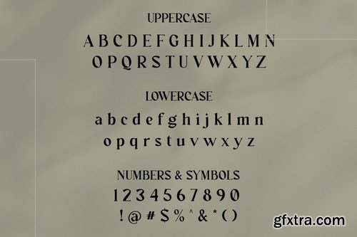 Modern Serif Font