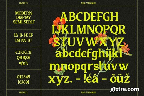 Sirkle - Semi Serif Display