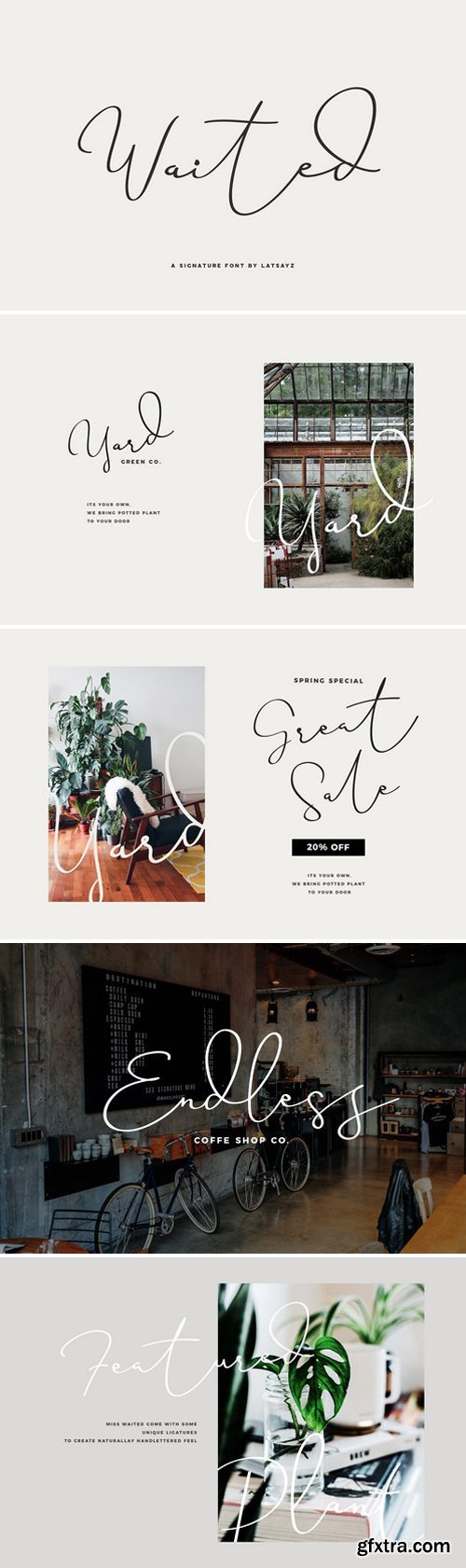 Miss Waited Script Font 2431190