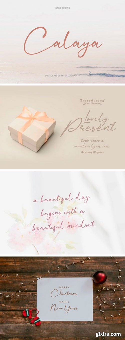 Calaya Script Font