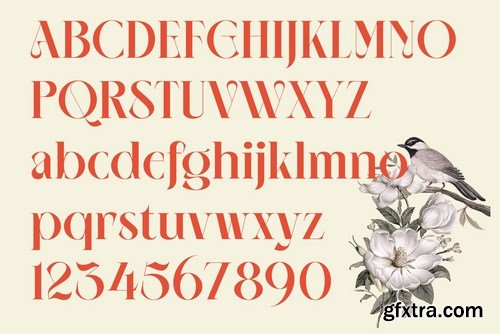 NEIMA Font