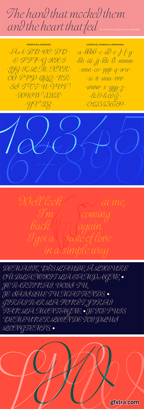 Dorset Script Typeface