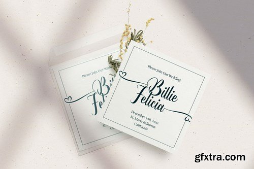 Butter Crush - Modern Brush Calligraphy Script