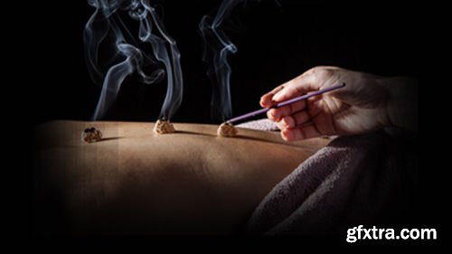 Moxibustion Course Beginner to Advanced Start Learning Today