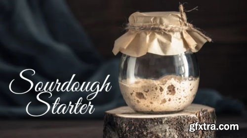 Sourdough Baking 101: Mastering the Sourdough Starter