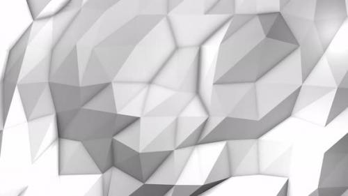 Videohive - White Polygon Background Loop - 36250869 - 36250869