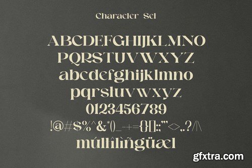 Raginy - Stylish Modern Serif