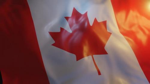 Videohive - Canada Flag - 36266529 - 36266529