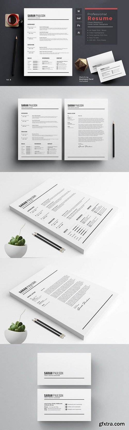 Clean Resume CV