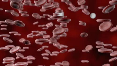 Videohive - Red blood cells in an artery, flow inside body, medical human health-care. - 36267999 - 36267999