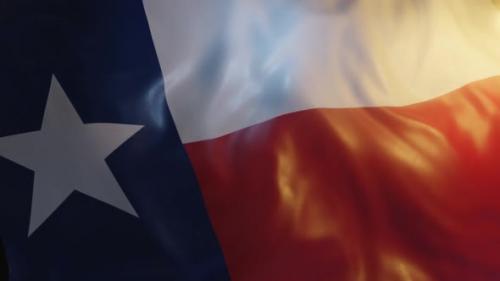 Videohive - Texas State Flag - 36276705 - 36276705