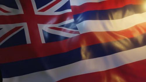 Videohive - Hawaii State Flag - 36276711 - 36276711