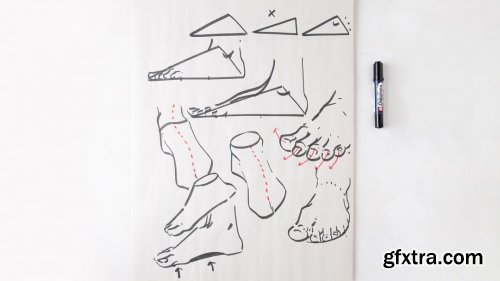 Foundational Figure Drawing: Hands and Feet