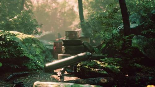 Videohive - Old Used Wheels in the Tropical Forest As Pollution Concept - 36335782 - 36335782