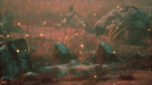 Videohive - Fireflies Above Dry Grass and Stones at Sunset - 36336828 - 36336828